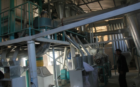 玉米粉加工机械